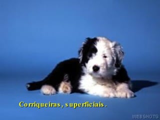 Corriqueiras, superficiais. 