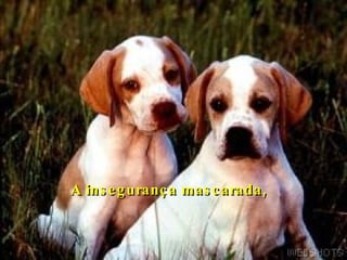 A insegurança mascarada,    