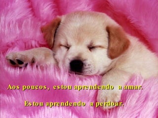 Aos poucos,  estou aprendendo  a amar. Estou aprendendo  a perdoar.   