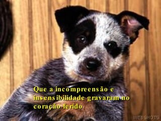 Que a incompreensão e insensibilidade gravaram no coração ferido   