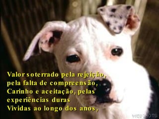 Valor soterrado pela rejeição,  pela falta de compreensão, Carinho e aceitação, pelas experiências duras Vividas ao longo dos anos,   