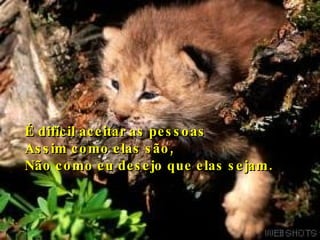 É difícil aceitar as pessoas Assim como elas são, Não como eu desejo que elas sejam. 