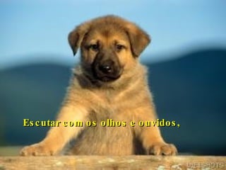 Escutar com os olhos e ouvidos ,   