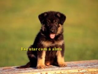 Escutar com a alma 
