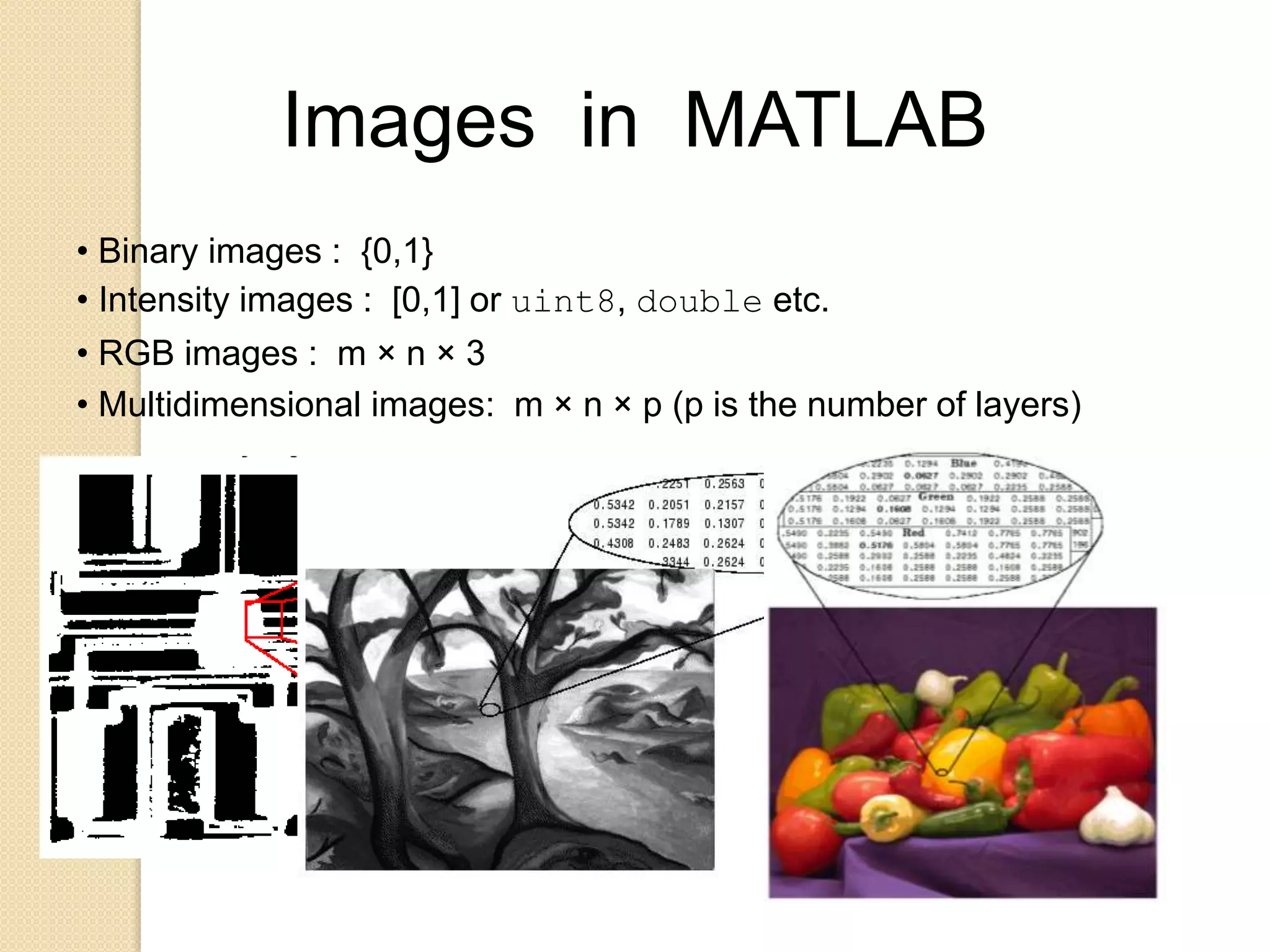 Images in MATLAB
• Binary images : {0,1}
• Intensity images : [0,1] or uint8, double etc.
• RGB images : m × n × 3
• Multidimensional images: m × n × p (p is the number of layers)
 