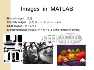 Images in MATLAB
• Binary images : {0,1}
• Intensity images : [0,1] or uint8, double etc.
• RGB images : m × n × 3
• Multidimensional images: m × n × p (p is the number of layers)
 