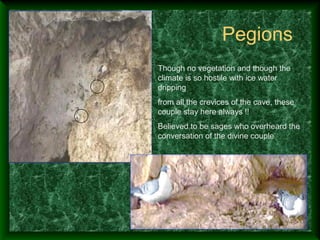 Pegions
Though no vegetation and though the
climate is so hostile with ice water
dripping
from all the crevices of the cave, these
couple stay here always !!
Believed to be sages who overheard the
conversation of the divine couple
 