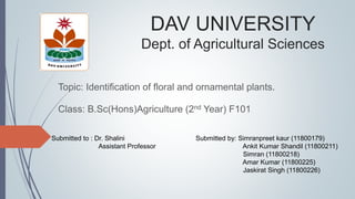 DAV UNIVERSITY
Dept. of Agricultural Sciences
Topic: Identification of floral and ornamental plants.
Class: B.Sc(Hons)Agriculture (2nd Year) F101
Submitted by: Simranpreet kaur (11800179)
Ankit Kumar Shandil (11800211)
Simran (11800218)
Amar Kumar (11800225)
Jaskirat Singh (11800226)
Submitted to : Dr. Shalini
Assistant Professor
 