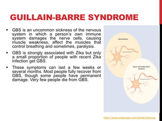 GUILLAIN-BARRE SYNDROME
 GBS is an uncommon sickness of the nervous
system in which a person’s own immune
system damages the nerve cells, causing
muscle weakness, affect the muscles that
control breathing and sometimes, paralysis.
 GBS is strongly associated with Zika but only
a small proportion of people with recent Zika
infection get GBS.
 These symptoms can last a few weeks or
several months. Most people fully recover from
GBS, though some people have permanent
damage. Very few people die from GBS.
https://www.medscape.com/article/zikavirus
 