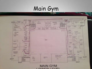 Main Gym

 