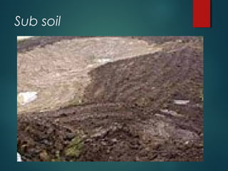Different types if soil | PPT