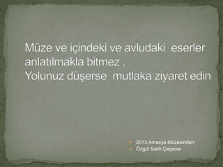  2013 Amasya Müzesinden 
 Özgül Salih Çeçener 
