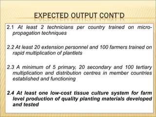Enhancing food security through improved seed systems of appropriate varieties of cassava, potato and sweet potato resilient to climate change in eastern Africa