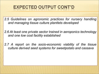 Enhancing food security through improved seed systems of appropriate varieties of cassava, potato and sweet potato resilient to climate change in eastern Africa