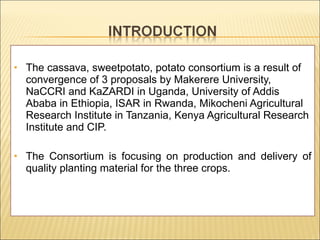 Enhancing food security through improved seed systems of appropriate varieties of cassava, potato and sweet potato resilient to climate change in eastern Africa
