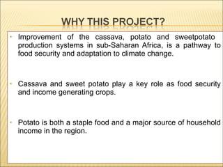 Enhancing food security through improved seed systems of appropriate varieties of cassava, potato and sweet potato resilient to climate change in eastern Africa