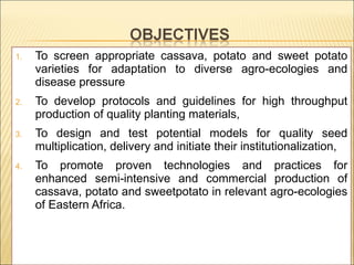 Enhancing food security through improved seed systems of appropriate varieties of cassava, potato and sweet potato resilient to climate change in eastern Africa