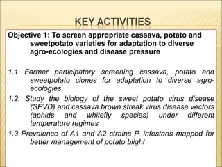Enhancing food security through improved seed systems of appropriate varieties of cassava, potato and sweet potato resilient to climate change in eastern Africa