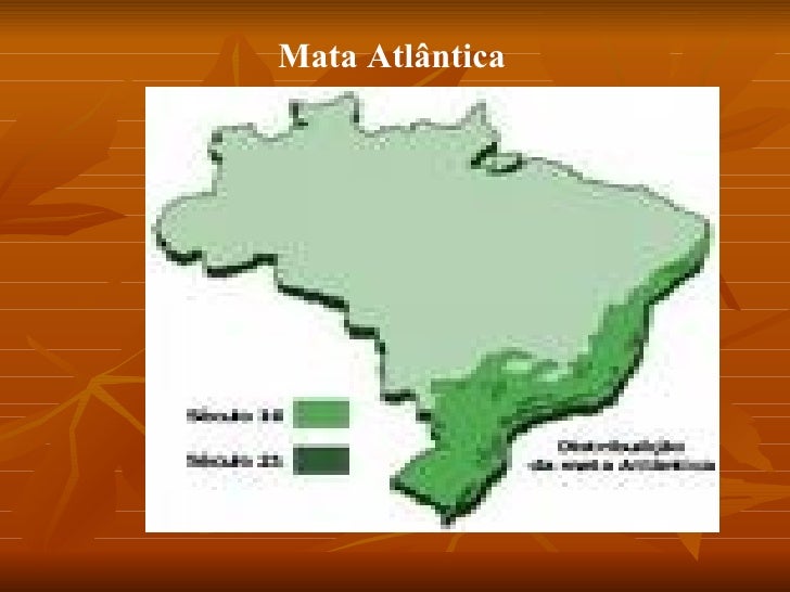 Cite Quatro Estados Em Que Ocorreu Devastação Da Mata Atlantica
