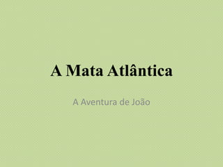A Mata Atlântica
A Aventura de João

 