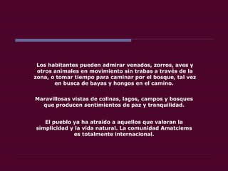 Los habitantes pueden admirar venados, zorros, aves y otros animales en movimiento sin trabas a través de la zona, o tomar tiempo para caminar por el bosque, tal vez en busca de bayas y hongos en el camino.  Maravillosas vistas de colinas, lagos, campos y bosques que producen sentimientos de paz y tranquilidad. El pueblo ya ha atraído a aquellos que valoran la simplicidad y la vida natural. La comunidad Amatciems es totalmente internacional.  