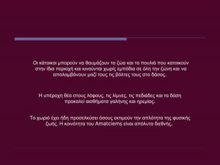 Οι κάτοικοι μπορούν να θαυμάζουν τα ζώα και τα πουλιά που κατοικούν στην ίδια περιοχή και κινούνται χωρίς εμπόδια σε όλη την ζώνη και   να απολαμβάνουν μαζί τους τις βόλτες τους στο δάσος .  Η υπέροχη θέα στους λόφους, τις λίμνες, τις πεδιάδες και τα δάση προκαλεί αισθήματα γαλήνης και ηρεμίας . Το χωριό έχει ήδη προσελκύσει όσους εκτιμούν την απλότητα της φυσικής ζωής. Η κοινότητα του  Amatciems  είναι απόλυτα διεθνής .   