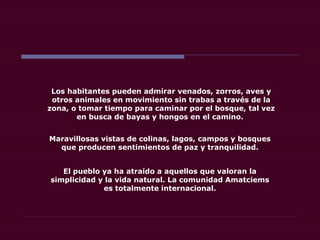Los habitantes pueden admirar venados, zorros, aves y
otros animales en movimiento sin trabas a través de la
zona, o tomar tiempo para caminar por el bosque, tal vez
en busca de bayas y hongos en el camino.
Maravillosas vistas de colinas, lagos, campos y bosques
que producen sentimientos de paz y tranquilidad.
El pueblo ya ha atraído a aquellos que valoran la
simplicidad y la vida natural. La comunidad Amatciems
es totalmente internacional.
 