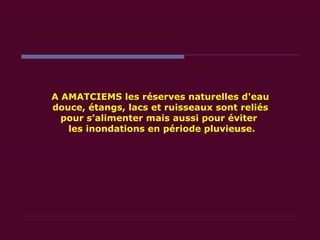 A AMATCIEMS les réserves naturelles d'eau douce, étangs, lacs et ruisseaux sont reliés pour s’alimenter mais aussi pour éviter   les inondations en période pluvieuse. 