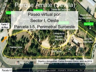 Parque Amate (Sevilla)
Paseo virtual por:
Sector I, Oeste
Parcela I-5, Perimetral Suroeste
Diseño y fotografías: Carlos Romero Zarco, abril de 2014
 