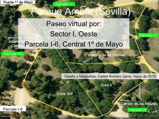 Parque Amate (Sevilla)
Paseo virtual por:
Sector I, Oeste
Parcela I-6, Central 1º de Mayo
Diseño y fotografías: Carlos Romero Zarco, mayo de 2015
 