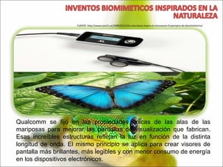 Qualcomm se fijó en las propiedades únicas de las alas de las mariposas para mejorar las pantallas de visualización que fabrican. Esas increíbles estructuras reflejan la luz en función de la distinta longitud de onda. El mismo principio se aplica para crear visores de pantalla más brillantes, más legibles y con menor consumo de energía en los dispositivos electrónicos. FUENTE: http://www.ison21.es/2009/01/12/la-naturaleza-inspira-la-innovacion-9-ejemplos-de-biomimetismo/ 