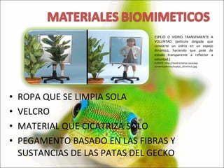 ROPA QUE SE LIMPIA SOLA VELCRO MATERIAL QUE CICATRIZA SOLO PEGAMENTO BASADO EN LAS FIBRAS Y SUSTANCIAS DE LAS PATAS DEL GECKO ESPEJO O VIDRIO TRANSPARENTE A VOLUNTAD (película delgada que convierte un vidrio en un espejo dinámico, haciendo que pase de estado transparente a reflector a voluntad.) FUENTE: http://neofronteras.com/wp-content/photos/espejo_dinamico.jpg 