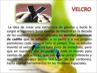       La idea de crear una estructura de gancho y bucle le surgió al ingeniero Suizo George de Mestral en la década de los cuarenta mientras limpiaba las  semillas espinosas de cadillo  que se adherían a su perro y a sus propios pantalones cada vez que salía al campo. Tras su estudio inventó el velcro, que no tuvo éxito de inmediato, pero que en nuestros días es usado en todo el mundo para cientos de aplicaciones, que van desde cerrar billeteras y ajustar los zapatos tennis (en lugar de los cordones), hasta sujetar herramientas en las misiones espaciales. FUENTE: http://sports.gearlive.com/blogimages/velcro.jpe 