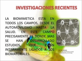 LA BIOMIMETICA ESTA EN TODOS LOS CAMPOS, DESDE EL AUTOMOVILISMO HASTA LA SALUD. EN ESTE CAMPO PRECISAMENTE ES DONDE MAS SE HAN DESARROLLADO ESTUDIOS, QUE ESTAN INTIMAMENTE LIGADOS A LOS BIOMATERIALES. CHIP NEURONAL FUENTE: http://neofronteras.com/wp-content/photos/chip_neuronal.jpg 