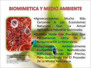 • Agroecosistemas Mucho Más Cercanos A Los Ecosistemas Naturales Que La Actual Agricultura Industrial Quimizada; • Química Verde Con Procesos Que Permanezcan Cerca De La Bioquímica De La Naturaleza; • Biotecnología Ambientalmente Compatible, Con Biomoléculas Artificiales Donde Sea Preciso, Pero Guiándonos Por El Proceder De La Misma Naturaleza. NANOPARTICULAS VIAJANDO POR EL TORRENTE SANGUINEO. FUENTE: http://www.laflecha.net/cache/thumbnails/k/250x220/storage/news/0026/732_torrente-sanguineo-foto-cortesia-novartis.jpg 