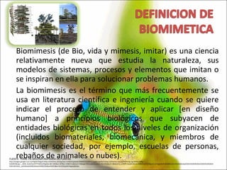 Biomimesis (de Bio, vida y mimesis, imitar) es una ciencia relativamente nueva que estudia la naturaleza, sus modelos de sistemas, procesos y elementos que imitan o se inspiran en ella para solucionar problemas humanos. La biomimesis es el término que más frecuentemente se usa en literatura científica e ingeniería cuando se quiere indicar el proceso de entender y aplicar [en diseño humano] a principios biológicos que subyacen de entidades biológicas en todos los niveles de organización (incluidos biomateriales, biomecánica, y miembros de cualquier sociedad, por ejemplo, escuelas de personas, rebaños de animales o nubes). FUENTE: TORRE EN ARIZONA INSPIRADA EN PLANTAS http://images.google.com.co/imgres?imgurl=http://aminima.net/wp/wp-content/uploads/2008/03/dollens1.jpg&imgrefurl=http://aminima.net/wp/%3Flanguage%3Des%26p%3D837&usg=__M39_fe3Jd7amFFFT1DV1viTQpHw=&h=265&w=397&sz=44&hl=es&start=35&sig2=fXEVyq6Z2JnIW2rc7Om2hQ&um=1&tbnid=j_c2Y8PfE-BoqM:&tbnh=83&tbnw=124&prev=/images%3Fq%3Dbiomimetica%26ndsp%3D21%26hl%3Des%26lr%3D%26rlz%3D1W1GGLL_es%26sa%3DN%26start%3D21%26um%3D1&ei=N-H1SfLpG5CHtgeJybSrDw 