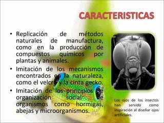 Replicación de métodos naturales de manufactura, como en la producción de compuestos químicos por plantas y animales.  Imitación de los mecanismos encontrados en la naturaleza, como el velcro y la cinta gecko.  Imitación de los principios de organización social de organismos como hormigas, abejas y microorganismos. Los ojos de los insectos han servido como inspiración al diseñar ojos artificiales. 