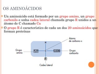 OS AMINOÁCIDOS Un aminoácido está formado por un  grupo amino , un  grupo carboxilo  e unha  cadea lateral  chamada grupo  R  unidos a un átomo de C chamado  C α O  grupo R  é característico de cada un dos  20 aminoácidos  que forman proteínas 