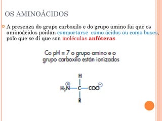 OS AMINOÁCIDOS A presenza do grupo carboxilo e do grupo amino fai que os aminoácidos poidan  comportarse  como ácidos ou como bases , polo que se di que son  moléculas  anfóteras 