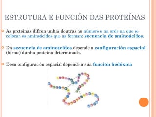ESTRUTURA E FUNCIÓN DAS PROTEÍNAS As proteínas difiren unhas doutras no  número e na orde na que se colocan os aminoácidos que as forman:  secuencia de aminoácidos. Da  secuencia de aminoácidos   depende a  configuración espacial   (forma) dunha proteína determinada. Desa configuración espacial depende a súa  función biolóxica 