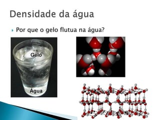    Por que o gelo flutua na água?
 