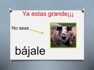 Ya estas grande¡¡¡
No seas
bájale
 