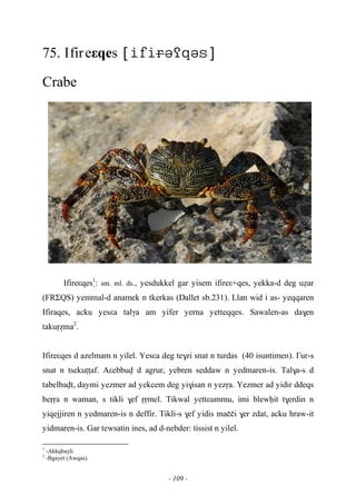 - 109 -
75. Ifireεqes 
Crabe
Ifireεqes1
: sm. ml. ds., yesdukkel gar yisem ifireε+qes, yekka-d deg uéar
(FRΣQS) yemmal-d anamek n tkerkas (Dallet sb.231). Llan wid i as- yeqqaren
Ifiraqes, acku yesεa talγa am yifer yerna yetteqqes. Sawalen-as da$en
takuôéma2
.
Ifireεqes d azelmam n yilel. Yesεa deg te$zi snat n turdas (40 isuntimen). £ur-s
snat n tsekuîîaf. Aεebbuv d agrur, yebren seddaw n yedmaren-is. Tal$a-s d
tabelbavt, daymi yezmer ad yekcem deg yi$isan n yezôa. Yezmer ad yidir ddeqs
beôôa n waman, s tikli $ef ôômel. Tikwal yettεummu, imi blewêit t$erdin n
yiqejjiren n yedmaren-is n deffir. Tikli-s $ef yidis maççi $er zdat, acku hraw-it
yidmaren-is. Gar tewsatin ines, ad d-nebder: tissist n yilel.
1
-Akkqbayli.
2
-Bgayet (Awqas).
 