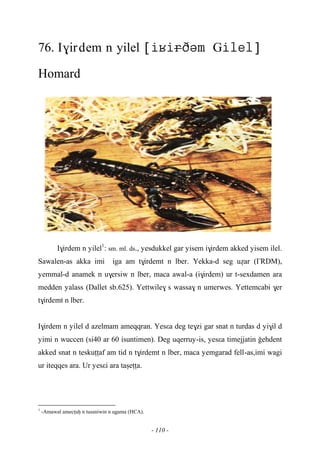 - 110 -
76. I$irdem n yilel G
Homard
I$irdem n yilel1
: sm. ml. ds., yesdukkel gar yisem i$irdem akked yisem ilel.
Sawalen-as akka imi iga am t$irdemt n lber. Yekka-d seg uéar (£RDM),
yemmal-d anamek n u$ersiw n lber, maca awal-a (i$irdem) ur t-sexdamen ara
medden yalass (Dallet sb.625). Yettwile$ s wassa$ n umerwes. Yettemcabi $er
t$irdemt n lber.
I$irdem n yilel d azelmam ameqqran. Yesεa deg te$zi gar snat n turdas d yi$il d
yimi n wuccen (si40 ar 60 isuntimen). Deg uqerruy-is, yesεa timejjatin oehdent
akked snat n teskuîîaf am tid n t$irdemt n lber, maca yemgarad fell-as,imi wagi
ur iteqqes ara. Ur yesεi ara taûeîîa.
1
-Amawal amecîuê n tussniwin n ugama (HCA).
 