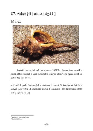 - 126 -
87. Askenoil ə
Murex
Askenoil1
: sm. ml. êrf., yekka-d seg uéar (SKNOL). Ur d-nufi ara anamek n
yisem akked unamek n uéar-is. Sawalen-as da$en abujil2
, imi yezga weêd-s i
yettili deg lqaε n yilel.
Askenoil d aje$lal. Yettawev deg te$zi armi d tardast (20 isuntimen). Sufella n
uje$lal ines yeççur d imentugen amzun d isennanen. Itett timeêêarin (uî88)
akked tigriyin (uî 98).
1
-Delles –- Tigzirt -…Aéeffun.
2
-Luigi SERRA.
 