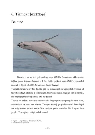 - 28 -
6. Tizmekt [өəχө]
Baleine
Tizmekt1
: sm. nt. êrf., yekka-d seg uéar (ZMK). Sawalen-as akka axaîer
teohed yerna tewεer. Amawal n J. M. Dallet yefka-d aéar (èMK), yemmal-d
anamek n loehd (sb.946). Sawalen-as daγen Ta$a$a2
.
Tizmekt d aγersiw n yilel, d nettat akk i d tameqqrant gar yimsuîîav. Tezmer ad
tawev deg te$zi alamma d semmuset n tmerwin d svis n yi$allen (28 n lmitrat),
ma deg taéayt tettawev armi d 180 n yiîîunen.
Tal$a-s am uslem, maca meqqret nezzeh. Deg uqacuc n uqerruy-is tesεa inzer,
aqemmuc-is ur yesεi ara tu$mas. Taseîîa-s teεwej $er yidis n tehri. Tetteffe$-d
$er nnig waman tetturar azal n 20 n ddqiqat, yerna tesnuffer. Ma d agmer ines
yegdel. Tesεa yiwet n ti$ri tecbeê nezzeh .
1
-Tigzirt – Luigi SERRA - Milud Taifi sb.807.
2
-Imeddukkal-iw i$ersiwen.
 