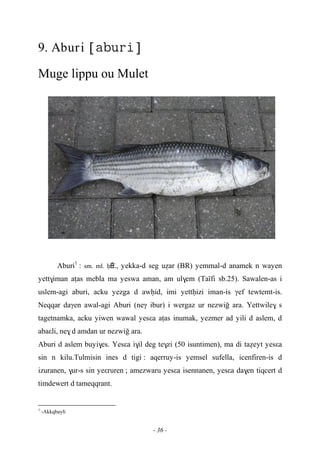 - 36 -
9. Aburi 
Muge lippu ou Mulet
Aburi1
: sm. ml. êÊrf., yekka-d seg uéar (BR) yemmal-d anamek n wayen
yett$iman aîas mebla ma yeswa aman, am ul$em (Taïfi sb.25). Sawalen-as i
uslem-agi aburi, acku yezga d awêid, imi yettêizi iman-is γef tewtemt-is.
Neqqar daγen awal-agi Aburi (neγ ibur) i wergaz ur nezwio ara. Yettwile$ s
tagetnamka, acku yiwen wawal yesεa aîas inumak, yezmer ad yili d aslem, d
abaεli, ne$ d amdan ur nezwiğ ara.
Aburi d aslem buyi$es. Yesεa i$il deg te$zi (50 isuntimen), ma di taéeyt yesεa
sin n kilu.Tulmisin ines d tigi : aqerruy-is yemsel sufella, icenfiren-is d
izuranen, $ur-s sin yeεruren ; amezwaru yesεa isennanen, yesεa da$en tiqcert d
timdewert d tameqqrant.
1
-Akkqbayli
 