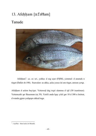 - 40 -
13. Afeêêam [əĦam]
Tanude
Afeêêam1
: sm. ml. êrf., yekka- d seg uéar (FËM), yemmal- d anamek n
tirget (Dallet sb.198). Ssawalen- as akka, acku yesεa ini am tirget, amzun yer$a.
Afeêêam d aslem buyi$es. Yettawev deg te$zi alamma d i$il (50 isuntimen).
Yettemcabi $er Busennan (uî 39). Yettili anda lqay yilel gar 10 d 300 n lmitrat,
d wanda ggten yed$a$en akked tuga.
1
- Aéeffun – Beni ksila (At Mendil)
 