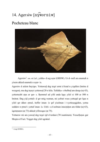 - 41 -
14. Agersiw [ə]
Pocheteau blanc
Agersiw1
: sm. ml. êrf., yekka- d seg uéar (GRSW). Ur d- nufi ara anamek n
yisem akked unamek n uéar- is.
Agersiw d aslem buyi$es. Yettawev deg te$zi armi d krad n yi$allen (lmitra d
wezgen), ma deg taéeyt yettawev 20 n kilu. Tafekka- s tbelbev am derqa (uî 43),
yettemcabi aîas ar $ur- s. Iêemmel ad yilli anda lqay yilel si 100 ar 500 n
lmitrat. Deg yiv yettali- d $er nnig waman, mi yefrari wass yettu$al $er lqaε n
yilel $er ddaw ôômel, iteffer iman- is $ef yiselman i t-yetteûeggiden, yerna
seddaw n ôômel i yettaf iman- is. Uççi- s d iselman imecîuêen am tildut (uî 63),
iqemôunen (uî 73) akked yifireεqas (uî 75).
Yettarew mi ara yawev deg te$zi i$il d terdast (70 isuntimen). Yessefôuôux gar
Me$res d £uct. Yegget deg yilel agrakal.
1
- Luigi SERRA.
 