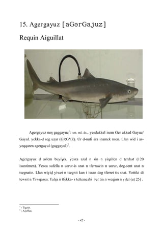 - 42 -
15. Agergayuz GG
Requin Aiguillat
Agergayuz ne$ gaggayuz1
: sm. ml. ds., yesdukkel isem Ger akked Gayuz/
Gayul. yekka-d seg uéar (GRGYZ). Ur d-nufi ara inamek nsen. Llan wid i as-
yeqqaren agergayul (gaggayul)2
.
Agergayuz d aslem buyi$es, yesεa azal n sin n yi$allen d terdast (120
isuntimen). Yesεa sufella n uεrur-is snat n tferrawin n uεrur, deg-sent snat n
tsegnatin. Llan wiyiv yiwet n tsegnit kan i isεan deg tferret tis snat. Yettiki di
tewsit n Yiwqasen. Tal$a n tfekka- s tettemcabi γer tin n weqjun n yilel (uî 25) .
1
- Tigzirt.
2
- Aéeffun.
 